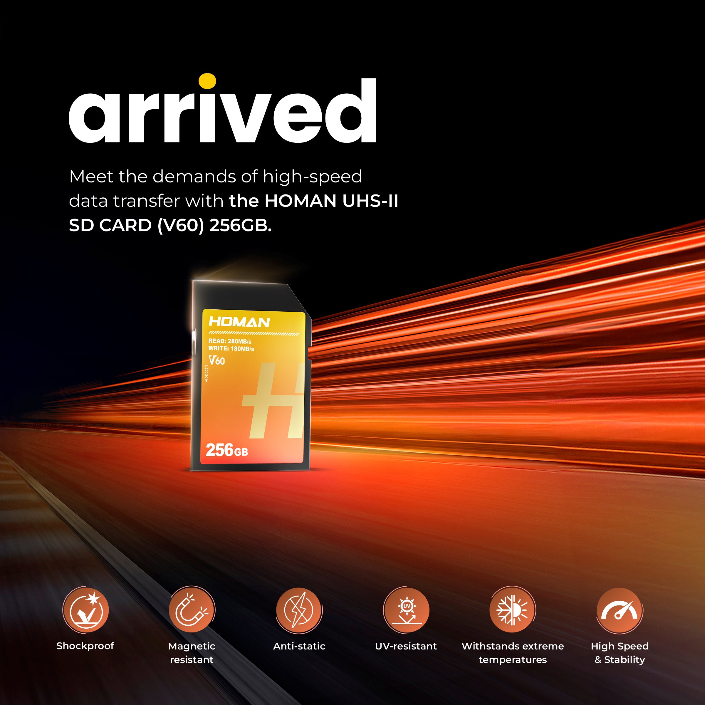 HOMAN UHS-II SD Card (V60) 256GB fit for Any Environmental Temperature from -10 Degree to 70 Degree Celsius with 5 Year Warranty & Recovery - Digitek